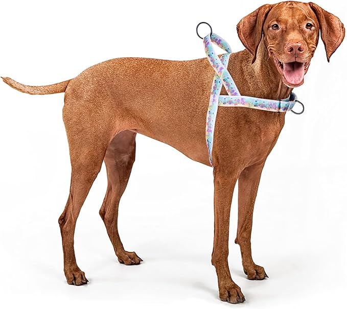 No Pull Dog Harness for Small, Medium, and Large Pets - Floral Pattern Nylon Safety Training Dog Harness (S, Ocean)