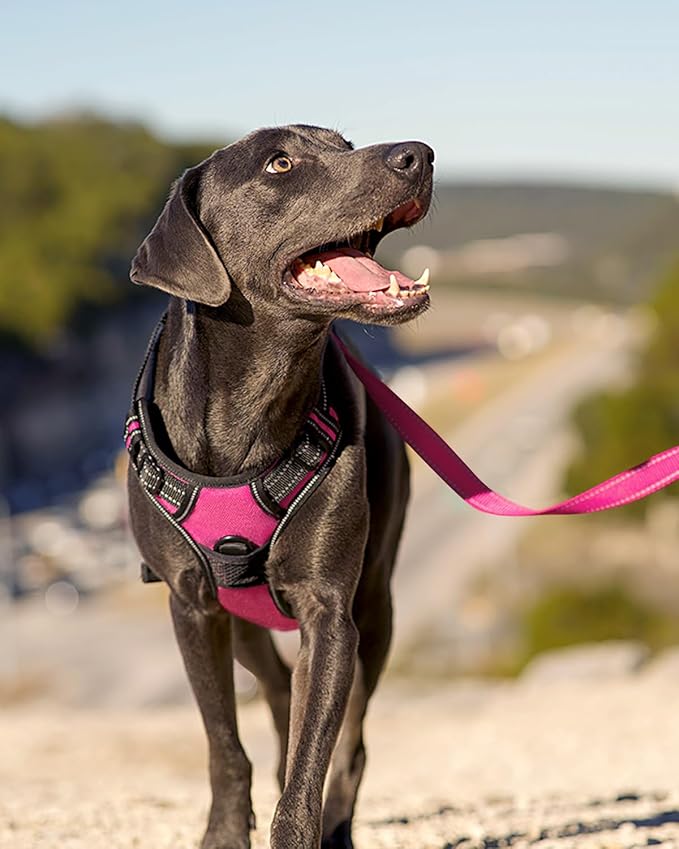 Joytale No Pull Dog Harness Medium Sized Dog, Reflective Pet Vest with Front Clip, Adjustable Soft Padded Harnesses with Easy Control Handle for Training and Walking, Hot Pink, M