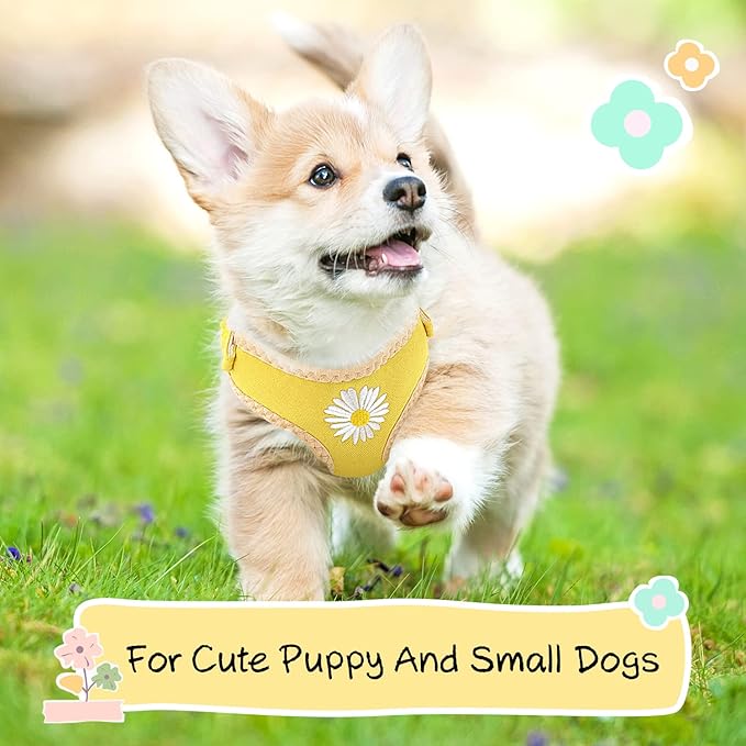 Puppy,XS/XXS Dog Harness Yellow Daisy Dog Harness for Extra Small Dogs Step in Dog Lessh and Harness Set Soft Padded Vest Harness Recommend for Chihuahua,Yorkie,Shih Tzu,Toy Poodle...