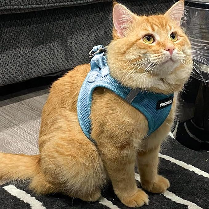 Voyager Step-in Air Dog Harness - All Weather Mesh, Reflective, No Pull Harness for Small, Medium Dogs, Cats - Secure with Hook & Loop Fastener, Buckle, Double D-Rings - Baby Blue, L