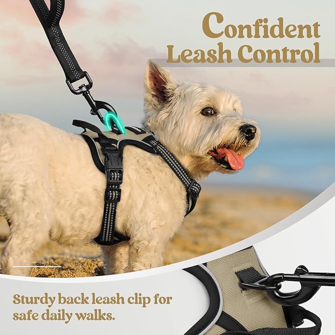 rabbitgoo Dog Harness, No-Pull Pet Harness with 2 Leash Clips, Adjustable Soft Padded Dog Vest, Reflective No-Choke Pet Oxford Vest with Easy Control Handle for Small Dogs, Beige, XS