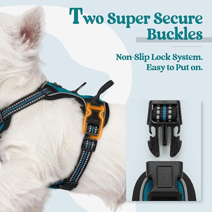 rabbitgoo Dog Harness, No-Pull Pet Harness with 2 Leash Clips, Adjustable Soft Padded Dog Vest, Reflective No-Choke Pet Oxford Vest with Easy Control Handle for Small Dogs, Blue Coral, XS