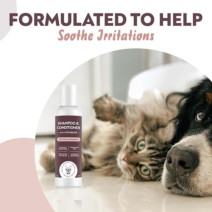 2in1 Pet Shampoo & Conditioner with Pet Brush, 16 oz, Fragrance Free