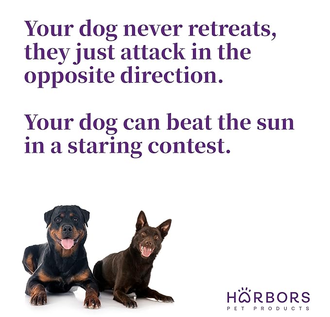 Harbor's Bad Dog Cologne - Friday Night