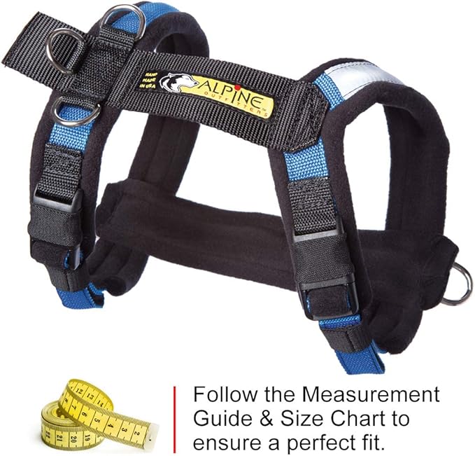 Urban Trail Adjustable Harness