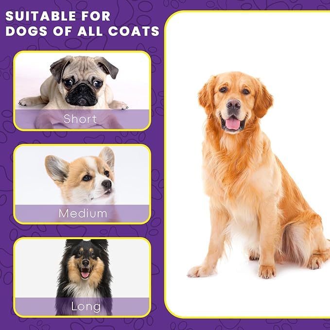 Dog & Cat Brush for Shedding with Self-cleaning, Deshedding Dog Brush for Long Short Haired Dogs and Indoor Cats, Slicker Brush for Dogs Removes Loose Fur, Dog Hair Brush for Massaging Grooming Purple