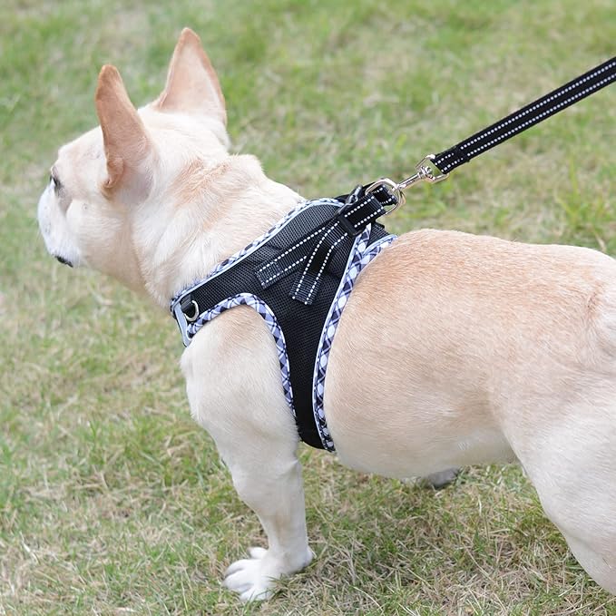 Mercano Soft Mesh Dog Harness and Leash Set, No-Chock Step-in Reflective Breathable Lightweight Easy Walk Escape Proof Vest Harnesses with Safety Buckle for Small Medium Dogs, Cats (Black White, XXS)