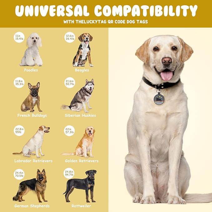 Upgraded Personalized Dog Tags Engraved with 3D QR Code for Dogs Cat Collar - Silicone Silent Pet Tag - Create Online Profile No APP Requirement (Black-Cat)