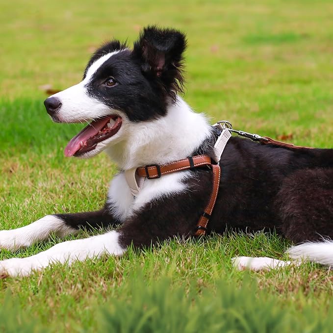 Microfiber Leather No Pull Dog Harness: Comfortable and Easy-to-Use Vest for Training and Walking Your Samll Medium Large Puppy or Dog (Brown, XS)