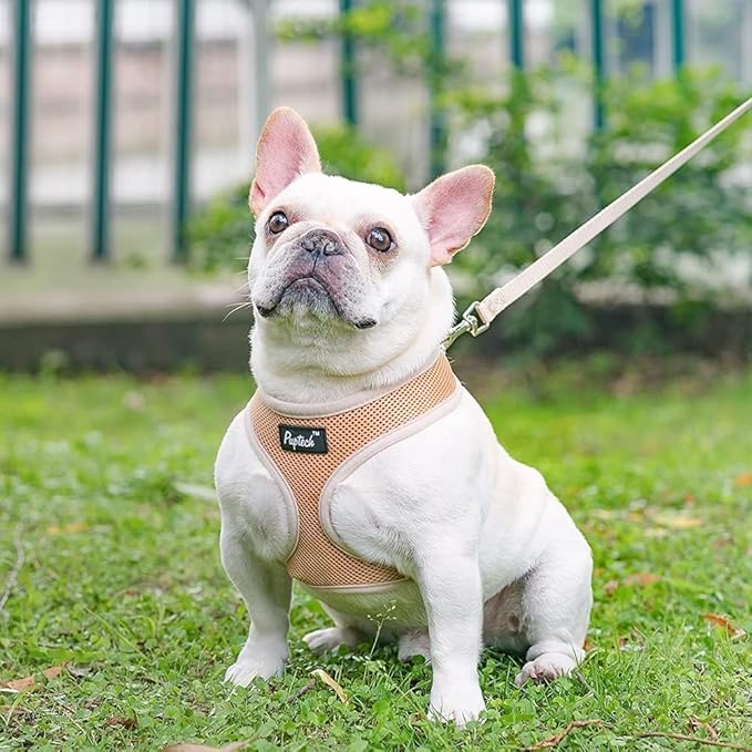 PUPTECK Soft Mesh Dog Harness and Leash Set Pet Puppy Cat Comfort Padded Vest No Pull Harnesses, Solid Beige, XS
