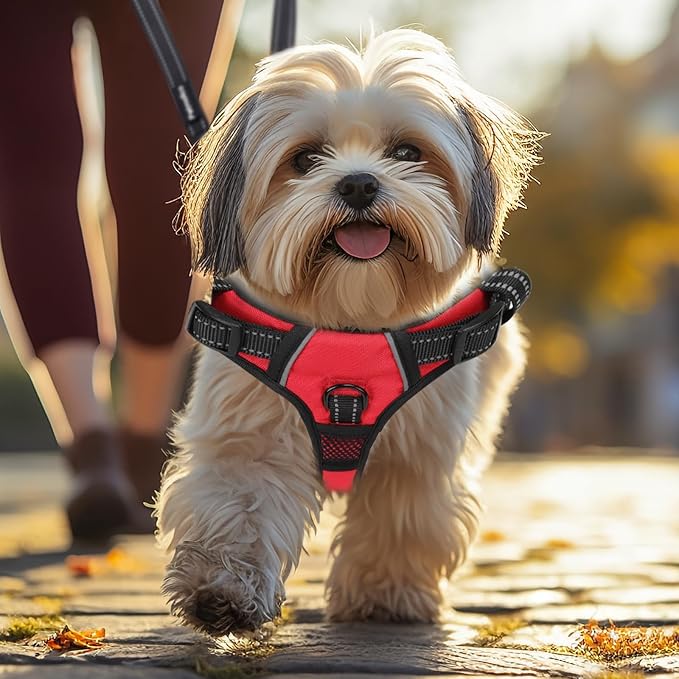 No Pull Dog Harness Medium Reflective Front Clip Vest with Pocket, Adjustable 2 Metal Rings 2 Buckles Easy to Wear & Take Off (Red)