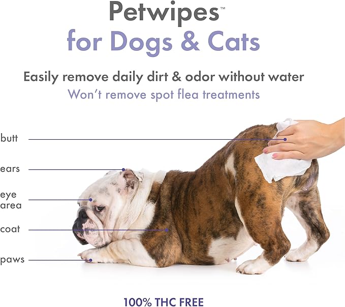 Petkin Hemp Pet Wipes for Dogs and Cats - with Hemp Oil & Calming Lavender Scent, 200 Count - Soothes, Calms & Conditions - Wipes for Pet's Face, Eyes and Body - for Home or Travel