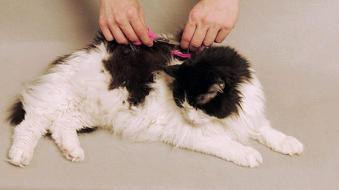 NO BUZZ Dog Clippers by SCAREDY CUT, + TINY TRIM Safety Scissor. A Silent Low Noise Pet Grooming Clipper, Right Handed Pink