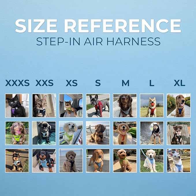 Voyager Step-in Air Dog Harness - All Weather Mesh, Reflective, No Pull Harness for Small, Medium Dogs, Cats - Secure with Hook & Loop Fastener, Buckle, Double D-Rings - Purple, XL