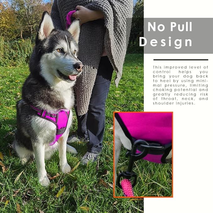 Dog Harness and Leash Duo, No Pull Vest Harness with 5 Ft Leash, Soft padded Vest, No-Choke Oxford Pet Harness, Easy Control Handle and Adjustable Pet Harness (Rose Red, Large)