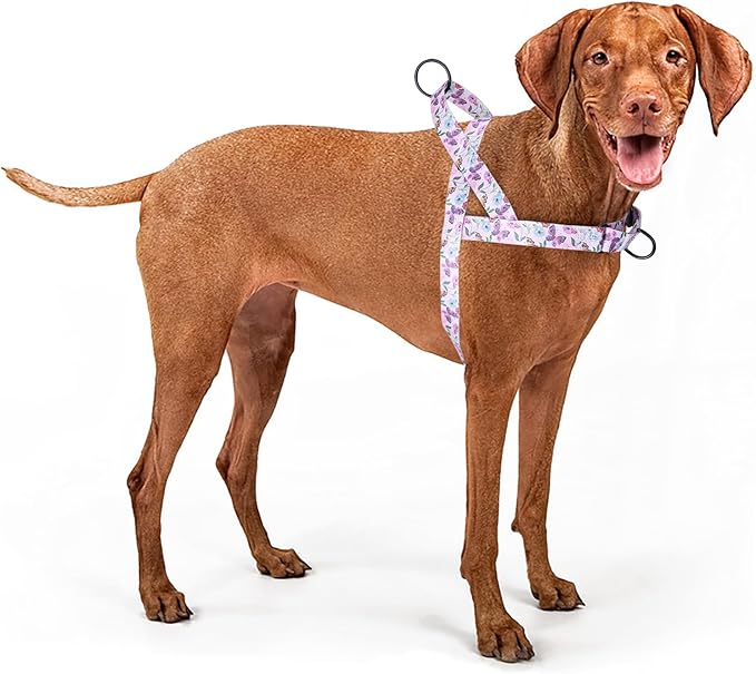 No Pull Dog Harness for Small, Medium, and Large Pets - Floral Pattern Nylon Safety Training Dog Harness (L, Hornflower)