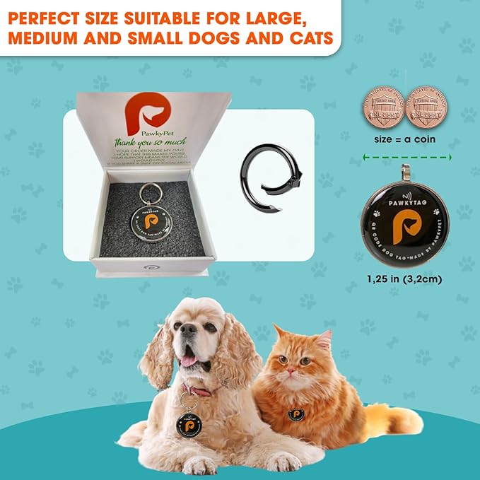 SMORDERNPETZ - Smart Dog Tag for Dogs and Cats - Durable Dog Name Tag - Waterproof QR Code Dog Tags for Pets with Anti-Lost Feature, Easy to Use - No Subscription Fees - Pack of 1(Black)