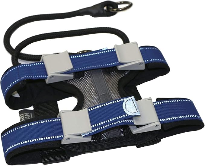 Cesar Millan Pack Leader Collar™ - Training Collar of The Dog Whisperer (Small, Grey)