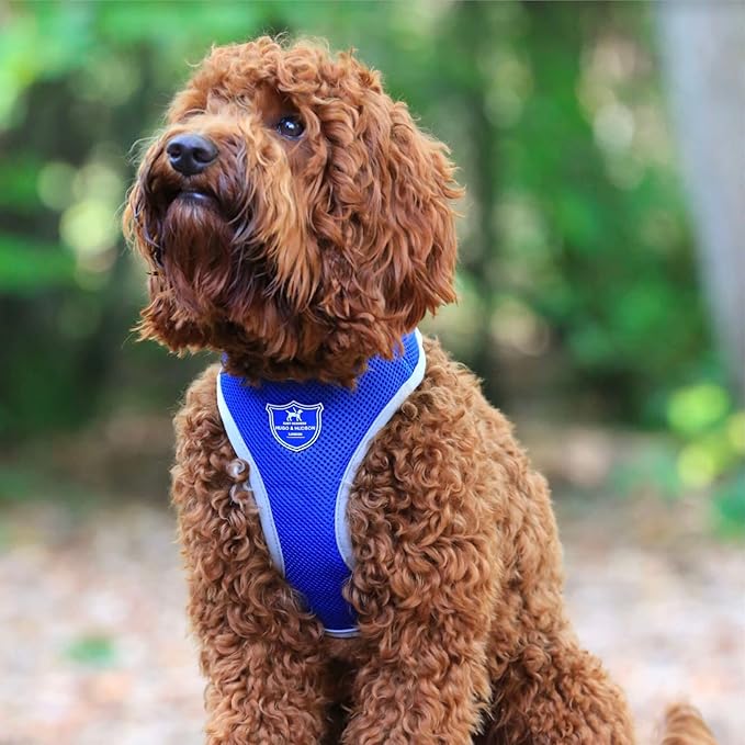HUGO & HUDSON Dog Harness No-Pull Pet Harness Adjustable Quick Dry Mesh Padded Vest, Royal Blue, XS