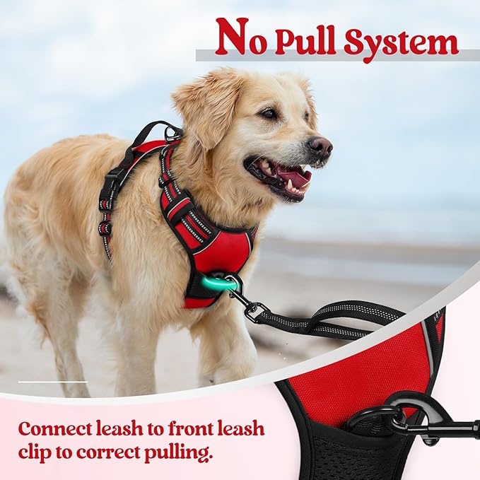 rabbitgoo Dog Harness, No-Pull Pet Harness with 2 Leash Clips, Adjustable Soft Padded Dog Vest, Reflective No-Choke Pet Oxford Vest with Easy Control Handle for Small Dogs, Red, S