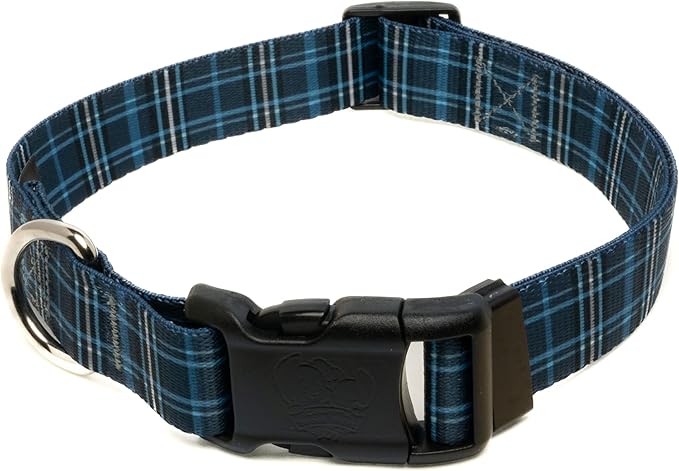 Country Brook Petz - Deluxe Navy Plaid Dog Collar - Made in The U.S.A. - Plaid and Argyle Collection Featuring Charming Designs (1/2 Inch, Extra Small)