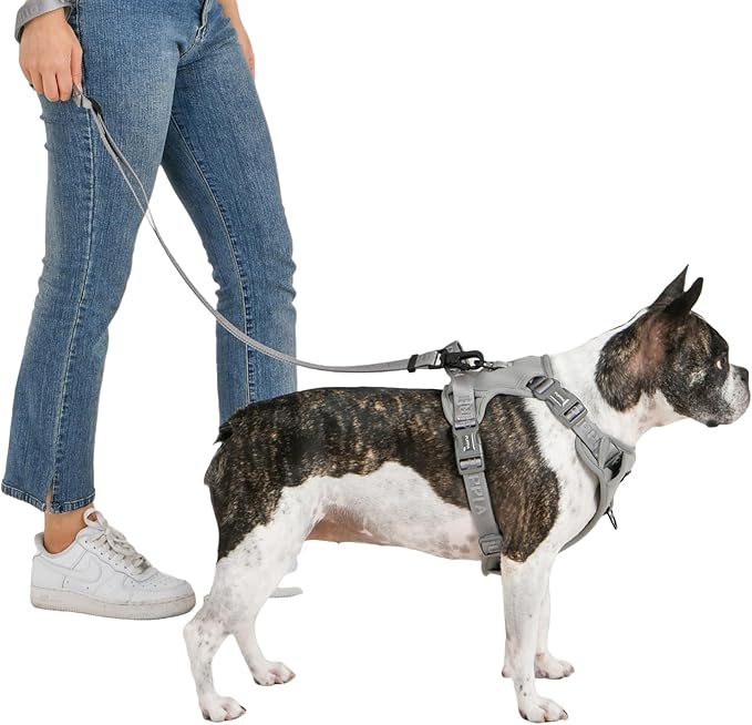 Puppia Jarek Dog Harness H Comfortable Sturdy Handle Adjustable Neck and Chest for Small and Medium Dogs - Grey - XL