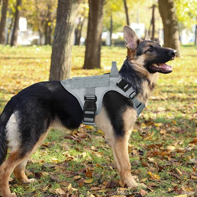 rabbitgoo Tactical Dog Harness for Large Dogs, Heavy Duty Dog Harness with Handle, No-Pull Service Dog Vest Large Breed, Adjustable Military Dog Vest Harness for Training Hunting Walking, Grey, L