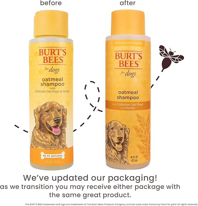 Burt's Bees for Pets Oatmeal Dog Shampoo with Colloidal Oat Flour and Honey, 95% Natural Origin Formulas, Shampoo for Dogs - Gentle Dog Shampoo, Best Dog Shampoo, 16 oz