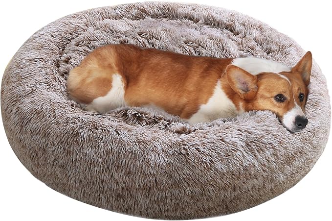 JOLLYVOGUE Dog Beds, Calming Small Dog Bed, Anti-Anxiety Dog Bed for Small Dogs, Fluffy Donut Dog Bed, Cozy Dog Cat Cushion Bed for Small Medium Dogs and Cats (20")