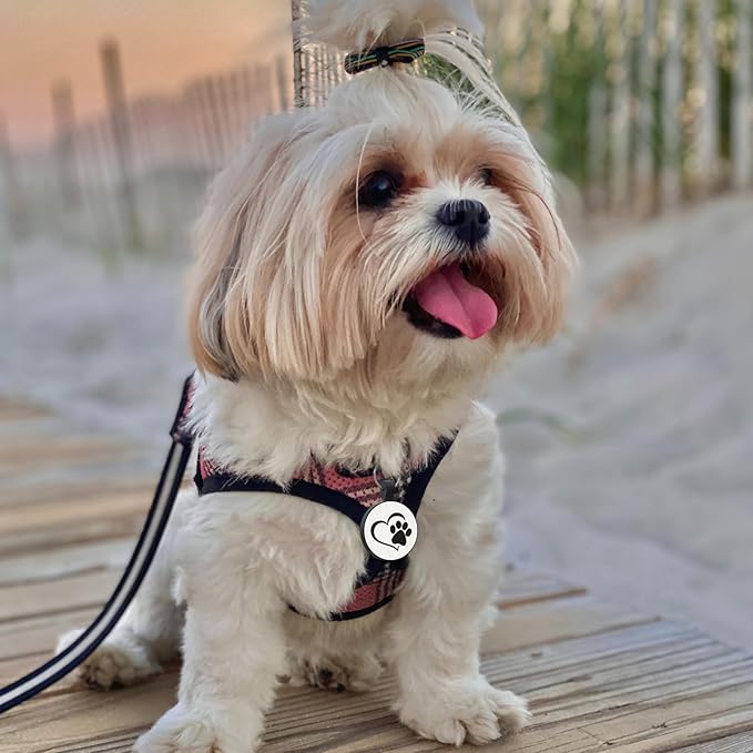 MYLUCKYTAG Silent Silicone QR Code Pet ID Tags Dog Tags - Pet Online Profile - Scan QR Receive Instant Pet Location Alert Email