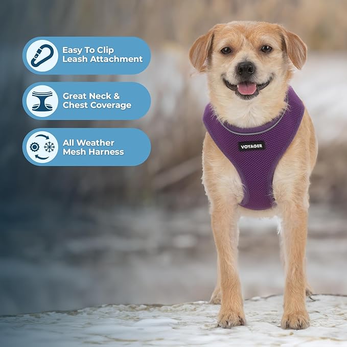 Voyager Aerolite No Pull Mesh Dog Harness with Lightweight, Soft, Breathable, Reflective Stitching, and Adjustable Straps for Walking, Running, Training, Heavy Duty and Durable - Purple, M