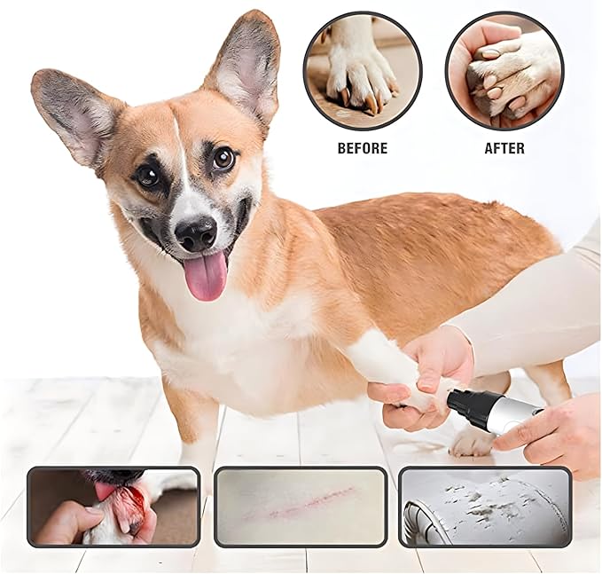ZCYJHOT Dog Nail Grinder Replacement,Pet Nail Grinder Diamond Tip Replacement,Dog Nail Grinder Small Dogs, Pet Nail Grinder,Nail Grinder for Dogs