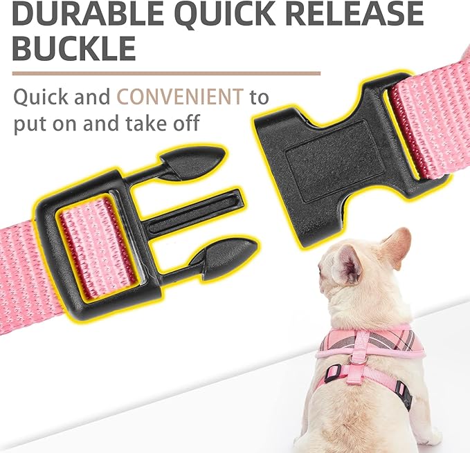 PUPTECK Soft Mesh Dog Harness and Leash Set Pet Puppy Cat Comfort Padded Vest No Pull Harnesses, Old Pink, XXS