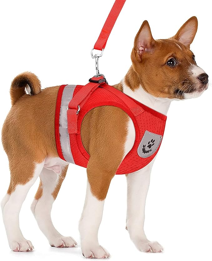 Cat Harnesses for Small Dogs - Cat Harnesses and Leashes for Walking, Adjustable Reflective Step in Dog Harness for Small Dog and Cat (Red, XS (10.2” – 11.4”))