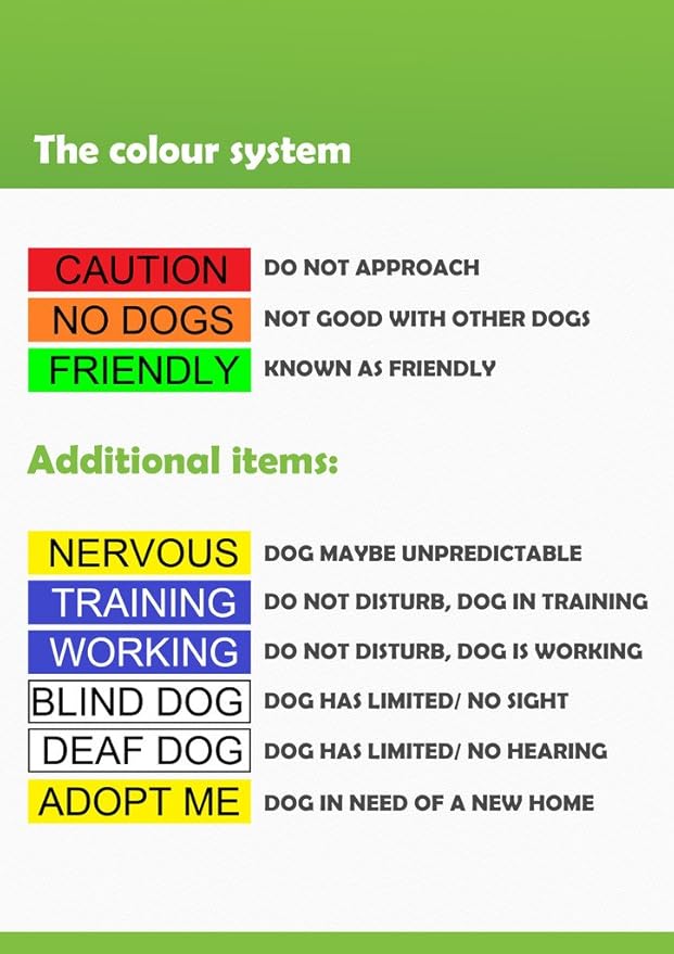 Limited Blind Dog White Color Coded Alert Warning L XL Non-Pull Dog Harness Prevents Accidents by Warning Others of Your Dog in Advance