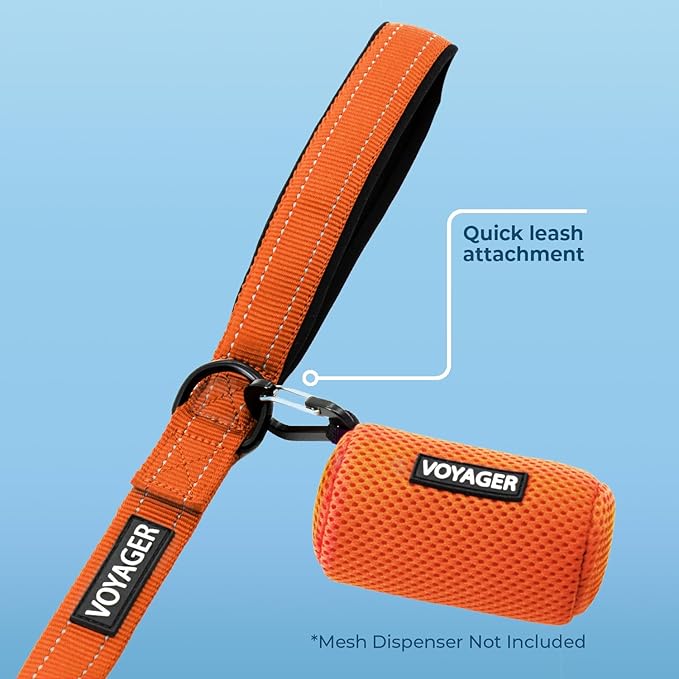 Voyager Reflective Dog Leash with Neoprene Handle, 6ft Long, Supports Small, Medium, and Large Breed Puppies, Cute and Heavy Duty for Walking, Running, and Training - Orange, L