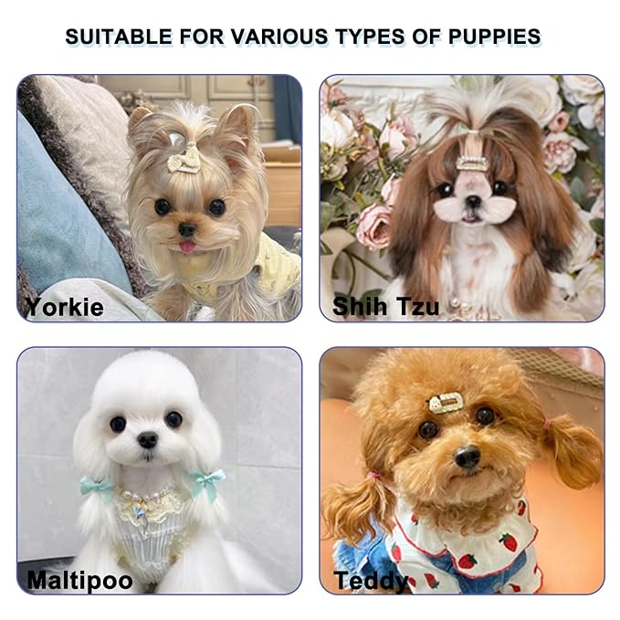 Ridge Design Puppy Brush, Soft Bristle Gentle Grooming Tool, Pet Hair Care, Suitable Small Dog : Yorkie, Maltese, Shih Tzu, Maltipoo (Light Green)