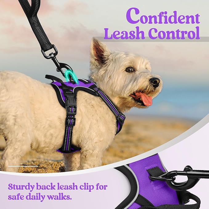 rabbitgoo Dog Harness, No-Pull Pet Harness with 2 Leash Clips, Adjustable Soft Padded Dog Vest, Reflective No-Choke Pet Oxford Vest with Easy Control Handle for Small Dogs, Purple,XS