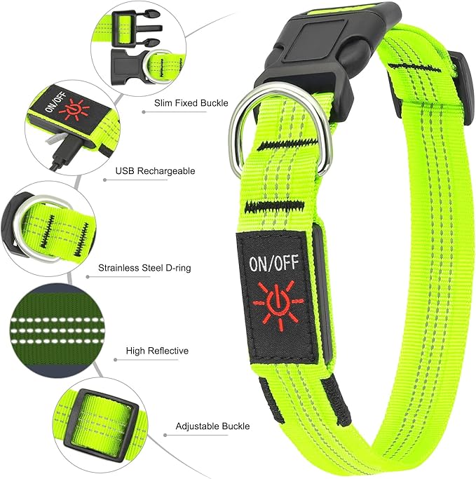 BSEEN Light Up Dog Collars - Glowing LED Dog Collar, Reflective Puppy Collar, Adjustable Lighted Dog Collar, Rechargeable Pet Collar for Night Walking (Green-II, Large)