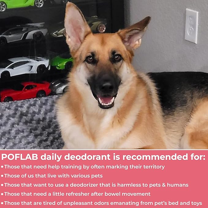 Pet Daily Deodorant - Dog Deodorizer Spray with Apple & Floral Fragrance - Refreshing Cat Deodorizing Cologne Mist with Mango Extract - Odor Eliminator Perfume for Dogs & Cats