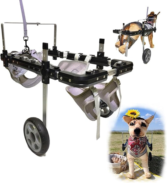 Dog Wheelchair,Lightweight Aluminum Frame with Handle,Extended Leg Straps,Includes Leash,Fits Pugs,French Bulldogs,and Schnauzers(Middle Size)/Beagle,Corgi,and Cocker Spaniel(Large Size)