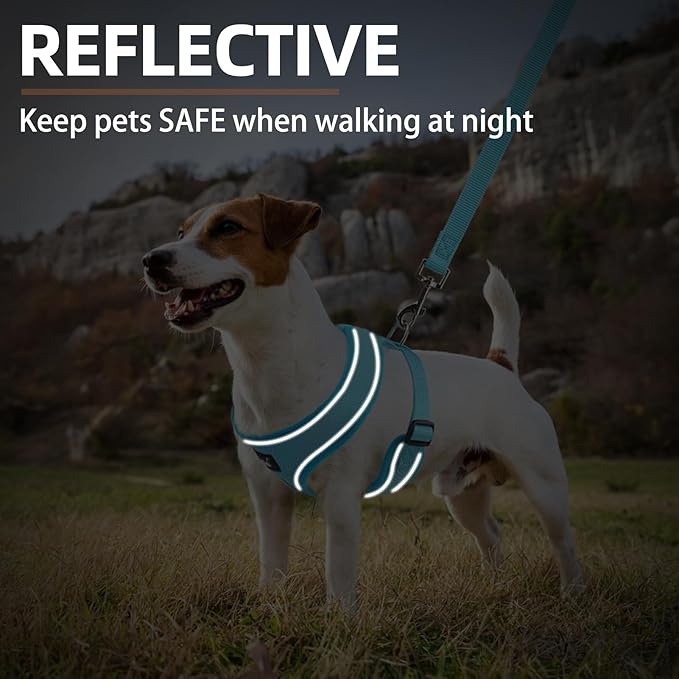PUPTECK Soft Mesh Dog Harness and Leash Set Pet Puppy Cat Comfort Padded Vest No Pull Harnesses, Solid LightBlue, S