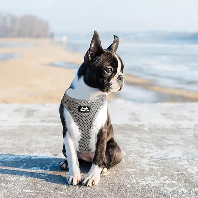 TwoEar Dog Vest Harness Reflective, No-Pull Pet Harness Easy Control with Breathable Mesh, Soft Puppy Step-in Harness No-Choke for Outdoor Walking, Training for Medium Dogs(M, Grey)