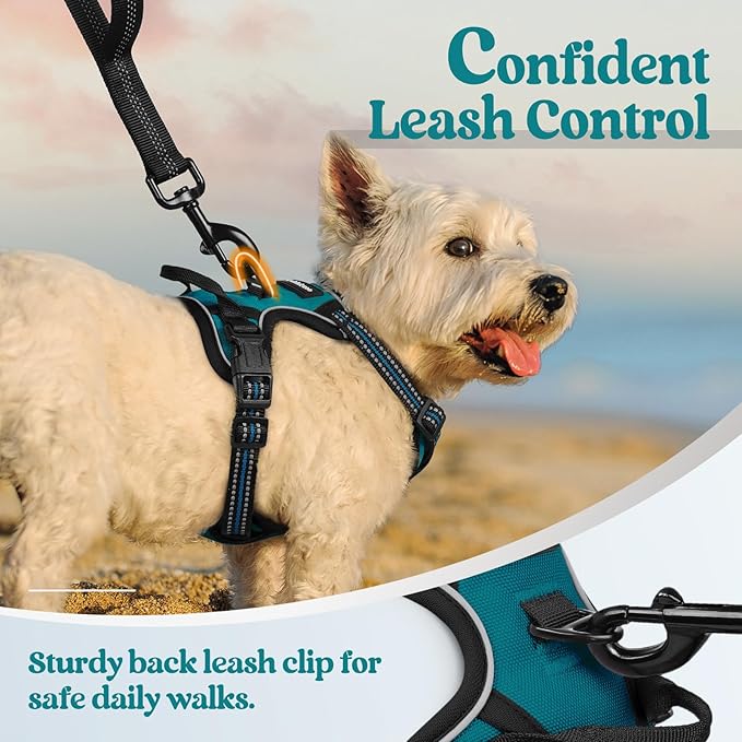 rabbitgoo Dog Harness, No-Pull Pet Harness with 2 Leash Clips, Adjustable Soft Padded Dog Vest, Reflective No-Choke Pet Oxford Vest with Easy Control Handle for Small Dogs, Blue Coral, XS