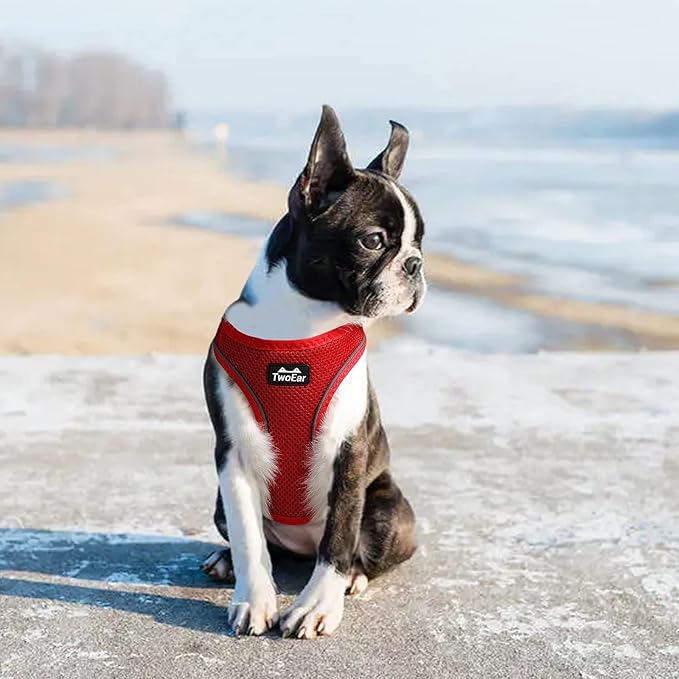 TwoEar Dog Vest Harness Reflective, No-Pull Pet Harness Easy Control with Breathable Mesh, Soft Puppy Step-in Harness No-Choke for Outdoor Walking, Training for Medium Dogs(M, Red)…