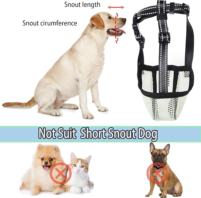Large Dog Muzzle, Muzzle for Large Dogs to Prevent Eating/Chewing/Biting, Breathable Reflective Adjustable Medium Dog Accessories Dog Muzzle (Green, L)