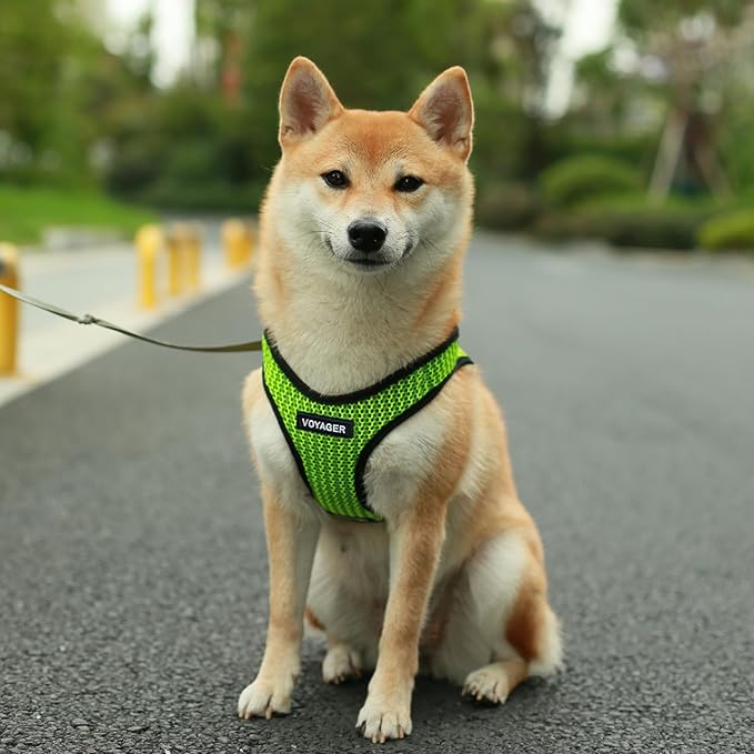 Voyager Step-in Air Dog Harness - All Weather Mesh, Reflective, No Pull Harness for Small, Medium Dogs, Cats - Secure with Hook & Loop Fastener, Buckle, Double D-Rings - Lime Green 2-Tone, M