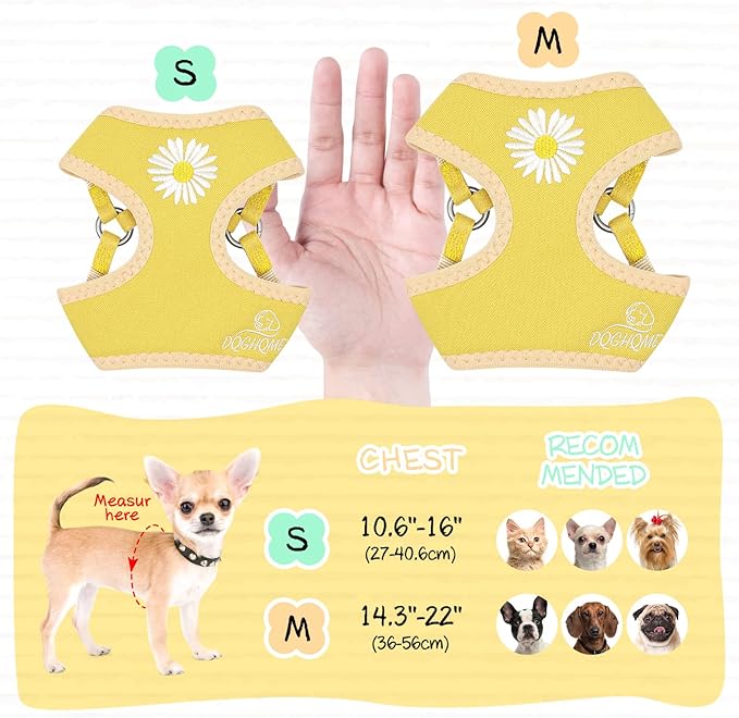 Puppy,XS/XXS Dog Harness Yellow Daisy Dog Harness for Extra Small Dogs Step in Dog Lessh and Harness Set Soft Padded Vest Harness Recommend for Chihuahua,Yorkie,Shih Tzu,Toy Poodle...