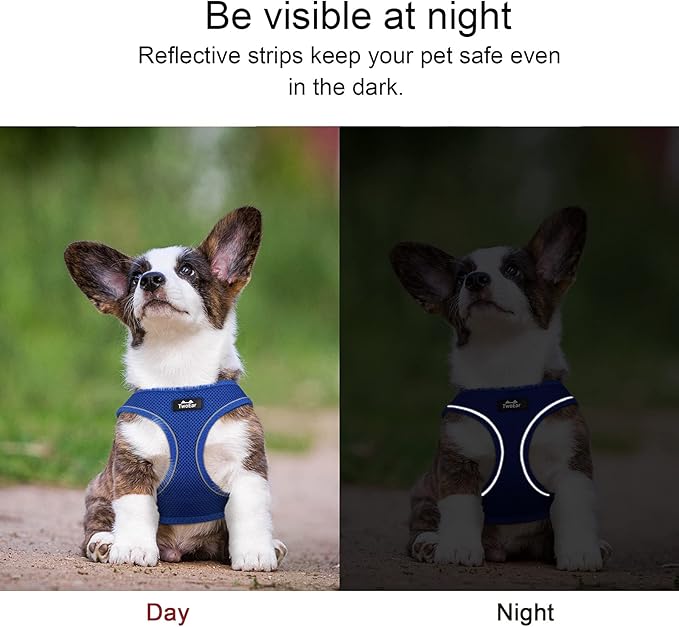 TwoEar Dog Vest Harness Reflective, No-Pull Pet Harness Easy Control with Breathable Mesh, Soft Puppy Step-in Harness No-Choke for Outdoor Walking, Training for Small Dogs(S, Blue)