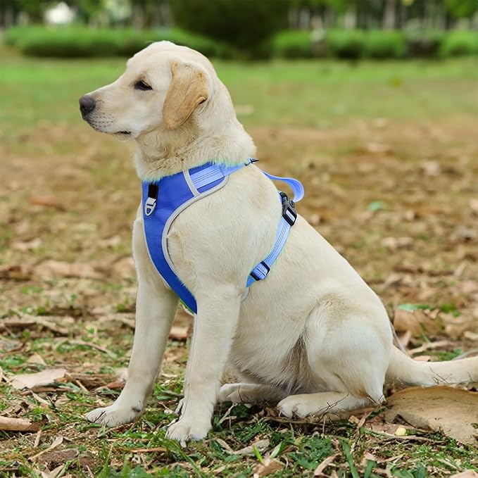 Dog Harness for Medium Dogs No Pull, Adjustable Reflective Oxford Outdoor Vest, Easy for Walk and Training, Front/Back Leash Clips for Small, Medium, Large Dogs (Blue, S)